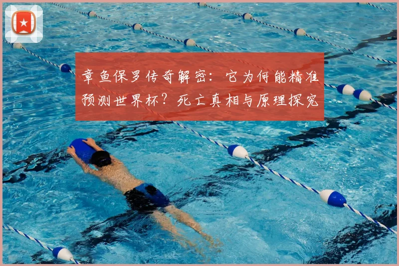 章鱼保罗传奇解密：它为何能精准预测世界杯？死亡真相与原理探究