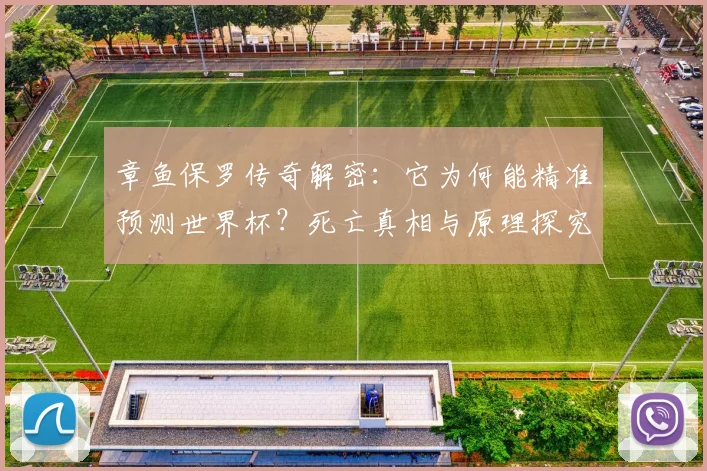 章鱼保罗传奇解密：它为何能精准预测世界杯？死亡真相与原理探究