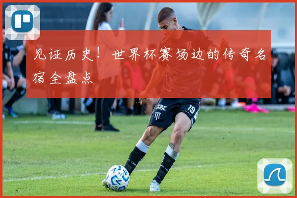 见证历史!世界杯赛场边的传奇名宿全盘点